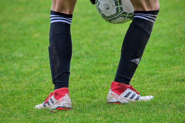 续在赛场上 续在赛场上