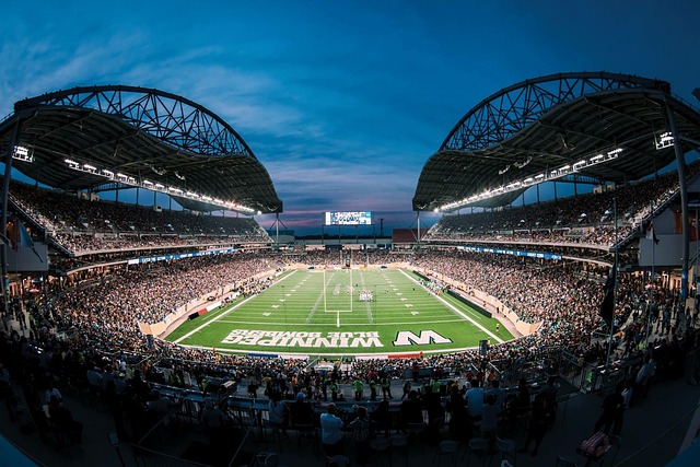 出几个高质 出几个高质