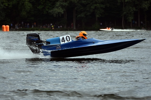 注目的个体 注目的个体