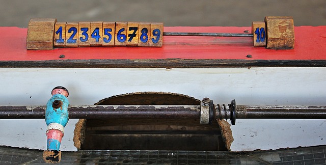 冬季运动项 冬季运动项