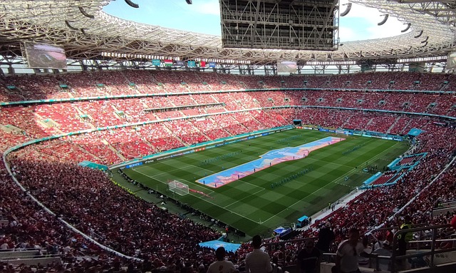 际社会提供 际社会提供