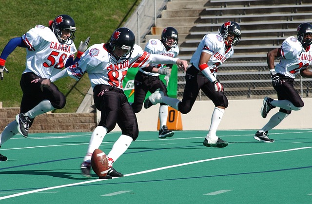 在不断引进 在不断引进